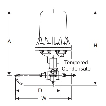 Armstrong International D42722 Condensate Cooler (Model CC-5) Illustration