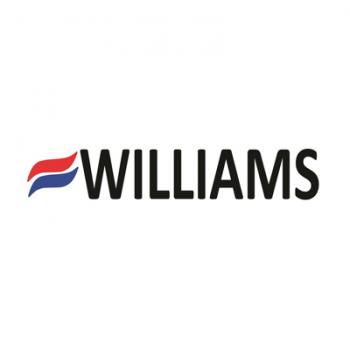 Williams Comfort Products P625468 Relay Board