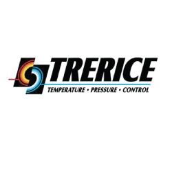 Trerice D83LFSS2502BA200 2.5Dia 1/4 Bm 0/2000Psi Liq