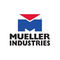 Mueller Industries P36764 Plastic Seal Cap 1-5/8" x 2-1/8"